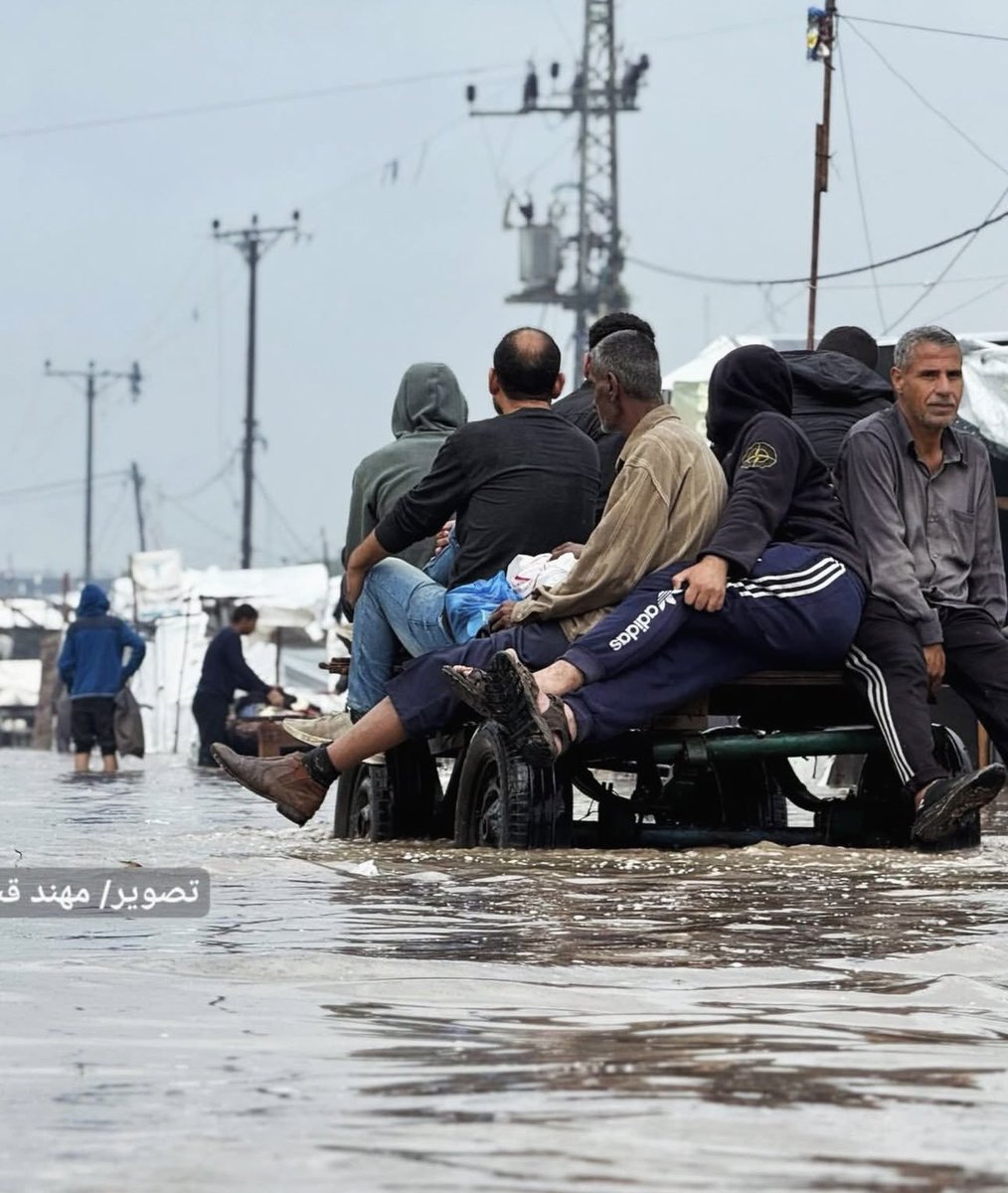 NoorMAshour's tweet image. غزة صباح اليوم