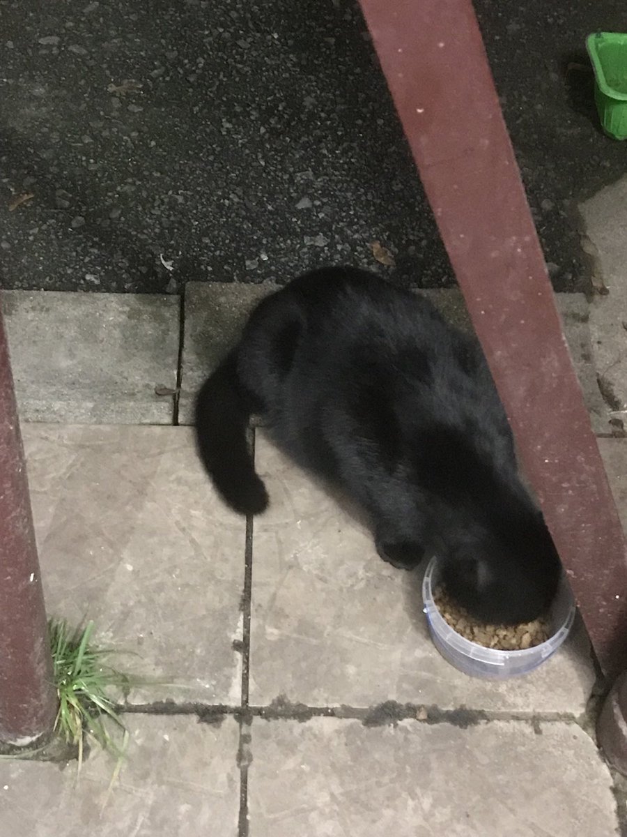 Доброго ранку від Вуглика