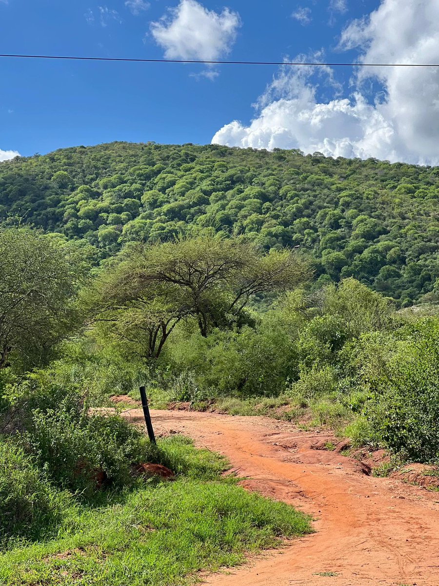 This is Taita 😍

📸: Evans Mwaniki