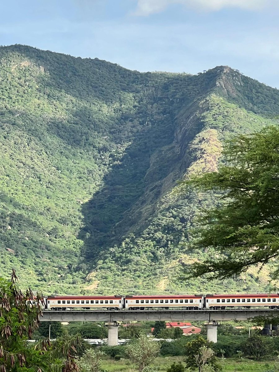 DaviesKinanga's tweet image. Reply with a random picture from your GALLERY