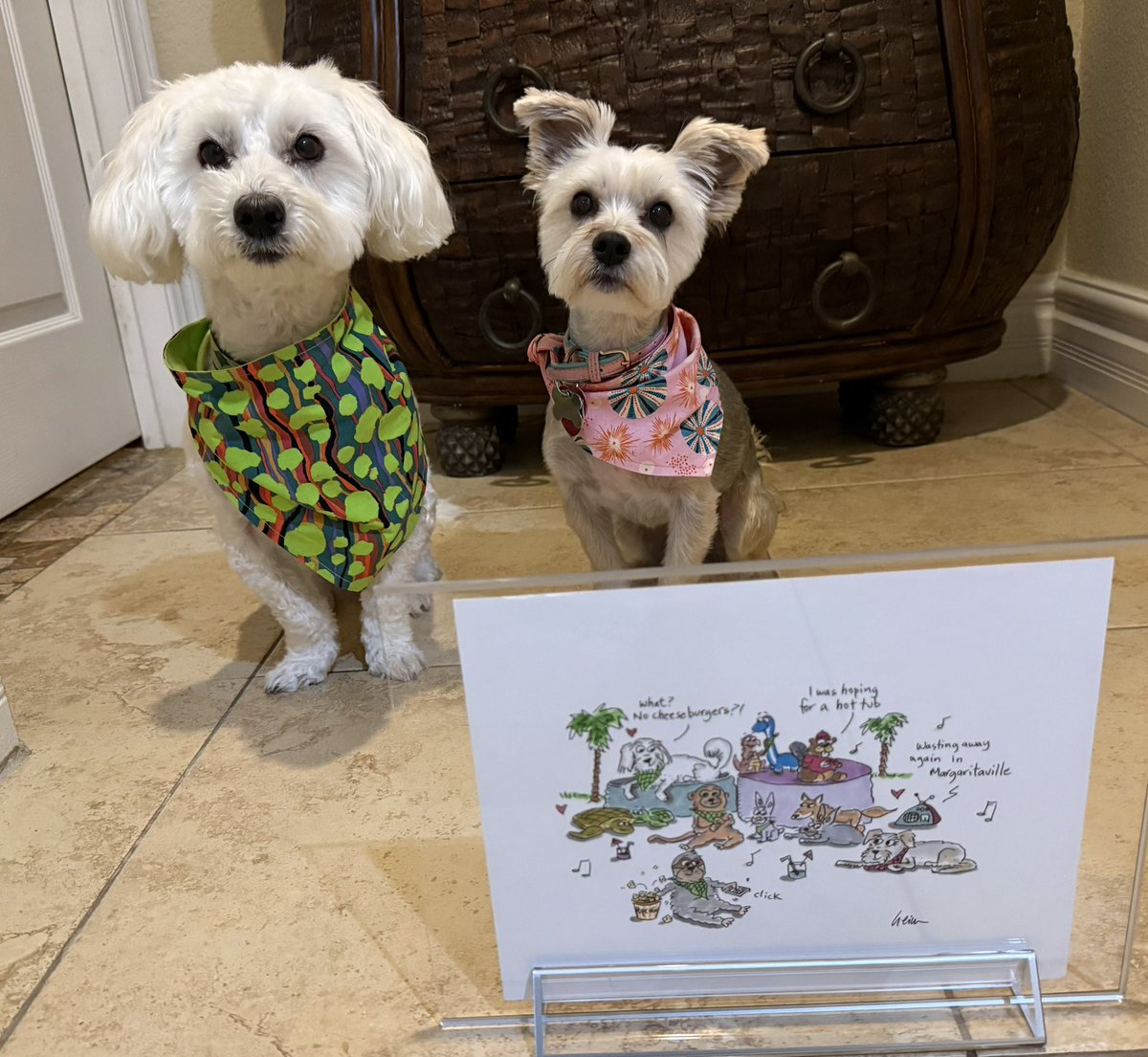 SirBailey2's tweet photo. Today’s started out good (eggies🥚!!!) An ended up the’s BEST 😁🎉🎉🎉 We’s got MAIL ✉️ An it’s was from our dear frens in Canada 🇨🇦🥰 Beau, Sky & Mom 💚sent us an gift of our life!!! Created by Mr. Heim himselves!!! 🎁🐶🐾 #mommieherspromisedbetterframewhenwesgetoursrealhouse #thankyousdearfrens 💚 @KaiaIsland @JohnHeim #dogsoftwitter #dogsofx #adogslife #doggo #pets