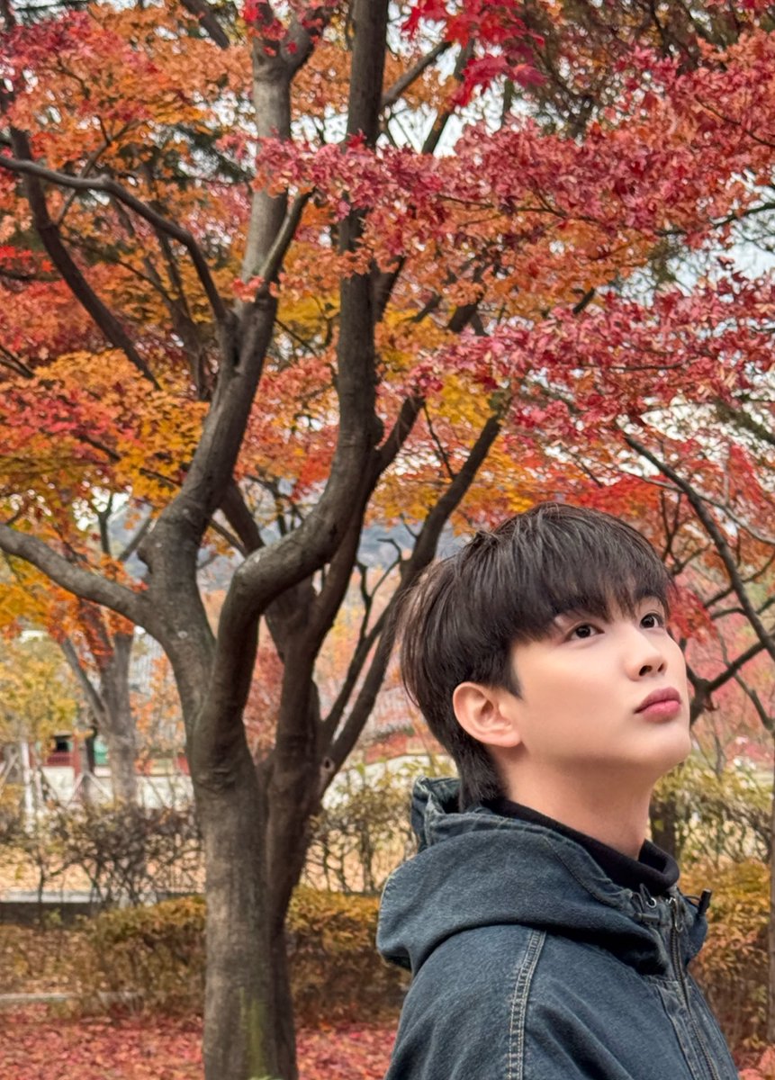 เดือนหนาว สนิมย้อย❄️ tweet media