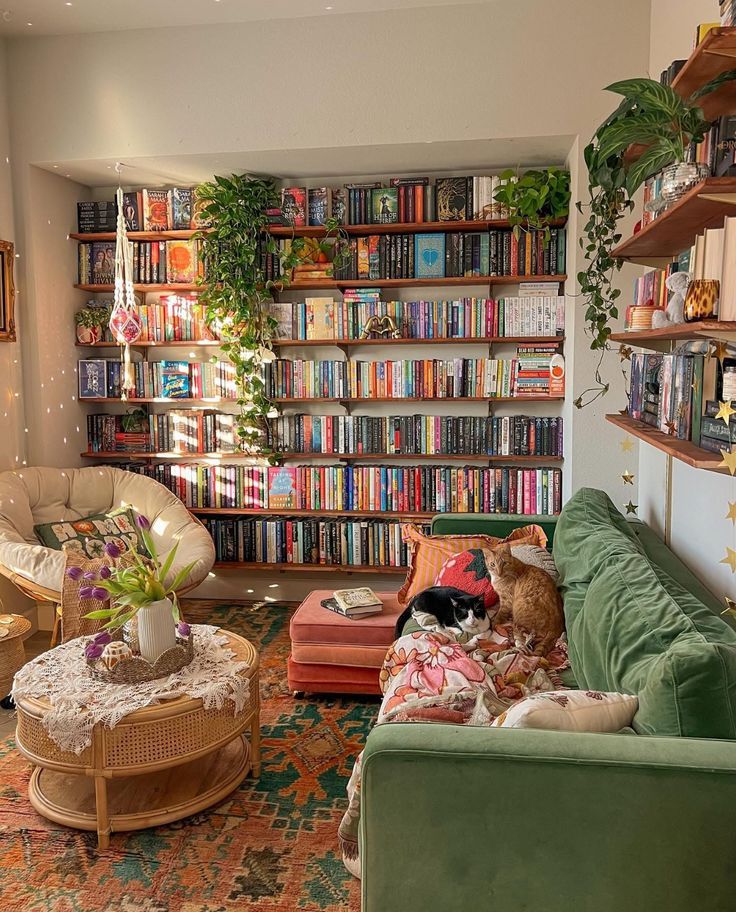 cozydreamvibes's tweet image. 