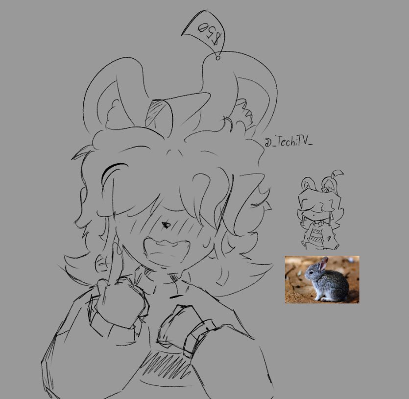 _TechiTV_'s tweet image. Oh shit, a rat

🇺🇸Reworked Phooey design inspired by the Mexican Volcano Rabbit

🇲🇽Rediseño de Pan inspirado por los Conejos de los Volcanes

#art