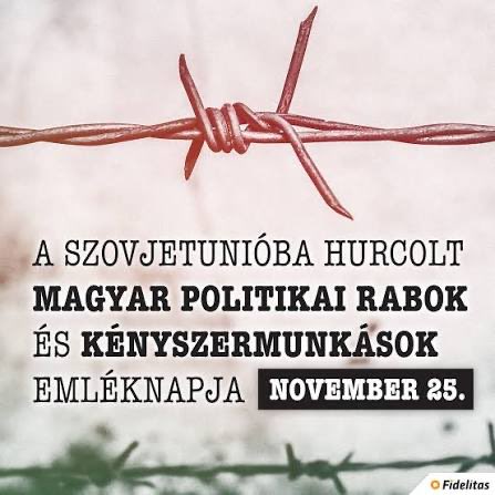 Fedir Shandor (@fedirshandor) on Twitter photo 