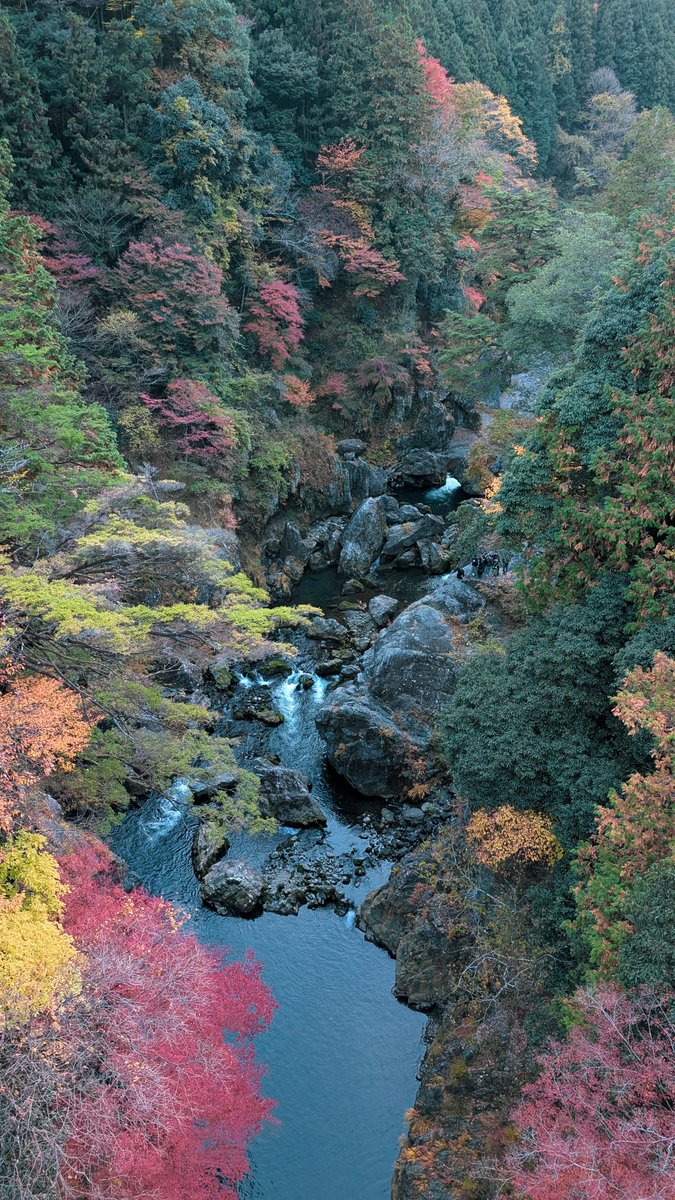 На выходных забурились вглубь гор, гуляли вдоль озера, пробирались к речке мимо заброшенных рёканов в лесу, видели серау на берегу (ещё мартышку на трассе встретили).
Вот так надо развлекаться.