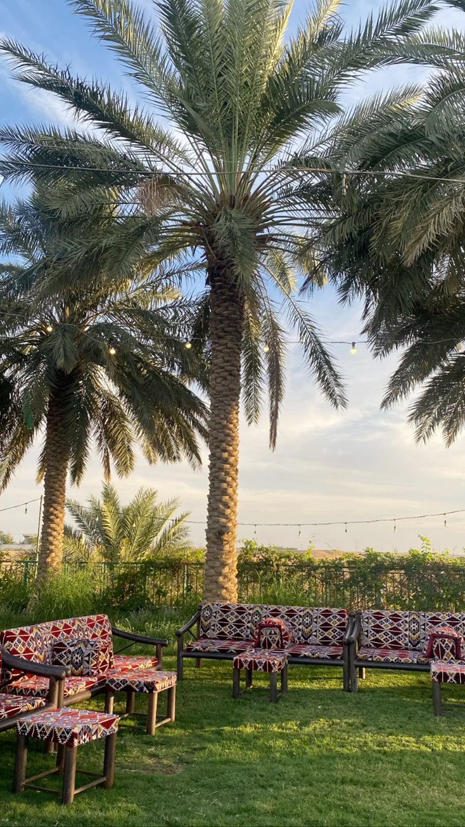 إذا توليت إدارة أي شيء فكن رفيقاً بهم ولا تحملهم ما لا يطيقون، وكما قيل: إذا أردت أن تطاع فأمر بما يستطاع،

اللهم أرزقنا رفقًا في القول والعمل وحكمةً في التدبير ولينًا يفتح القلوب .. 🥀

-

#صباح_الخير