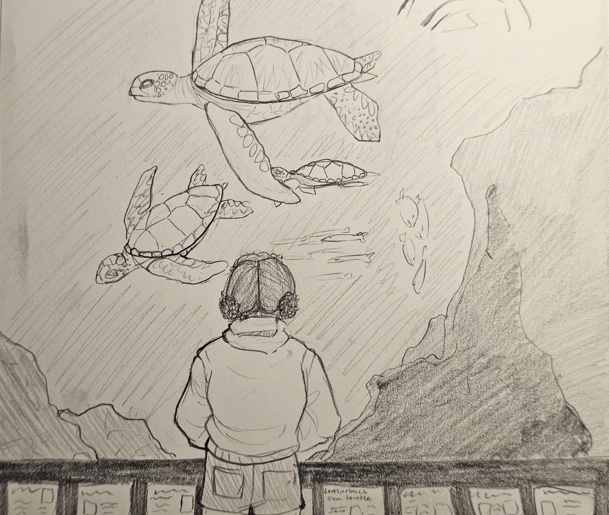 Hailes_bales's tweet image. Sorry for the delay, its done😝