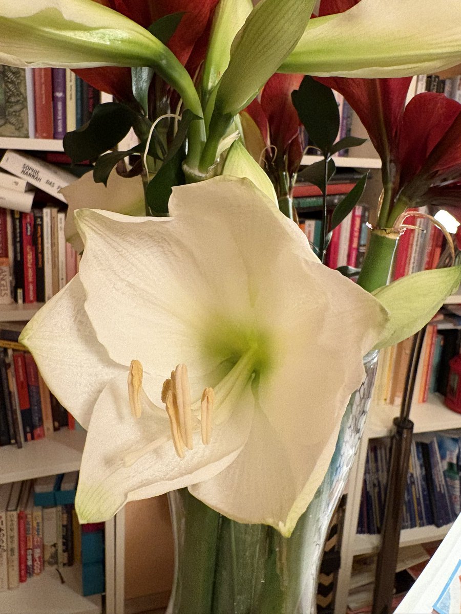 ArtoisLibra's tweet image. #workinglady #dressedforsuccess Blumig auf in den Tu‘es-Day! Der samtig-blaue Vintage Blazer ist so schön! 
Keine Termine, und hab vor dem Urlaub alles so gut organisiert, dass ich praktisch nichts aufzuarbeiten habe - call me Empress of Discipline!

Nachmittags auf die 

1/🌺