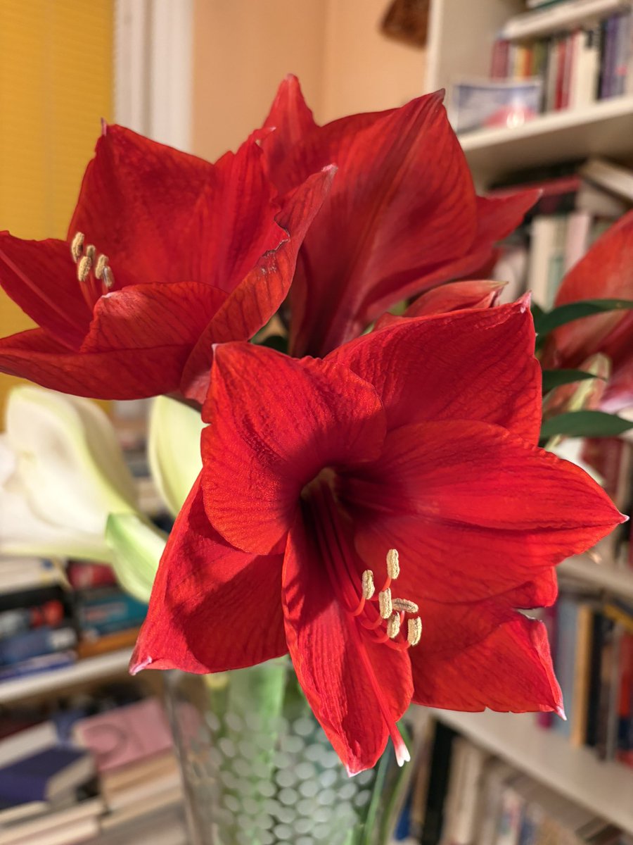 ArtoisLibra's tweet image. #workinglady #dressedforsuccess Blumig auf in den Tu‘es-Day! Der samtig-blaue Vintage Blazer ist so schön! 
Keine Termine, und hab vor dem Urlaub alles so gut organisiert, dass ich praktisch nichts aufzuarbeiten habe - call me Empress of Discipline!

Nachmittags auf die 

1/🌺