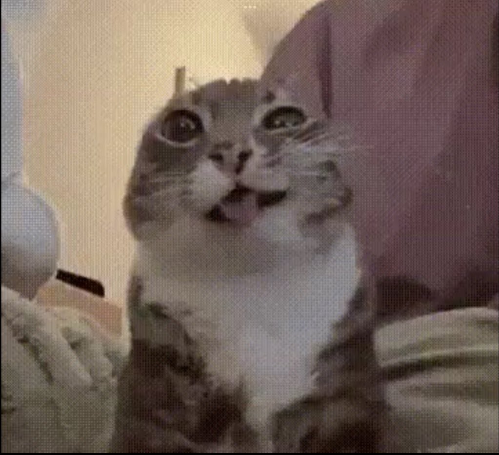 Otro día más sin que yo mismo me consideré femboy