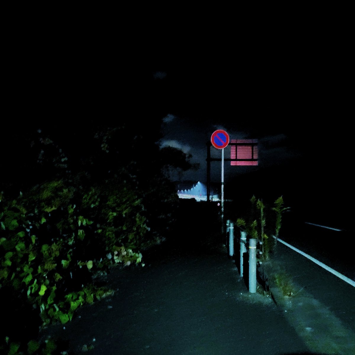 夜行飛船 tweet media
