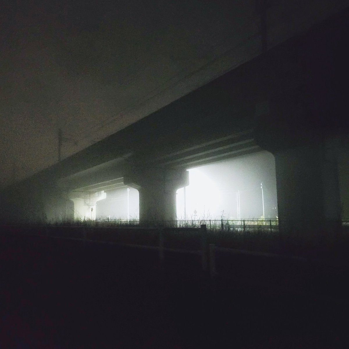 夜行飛船 tweet media
