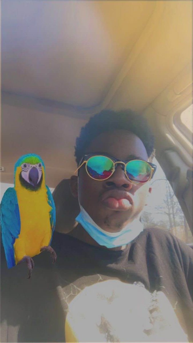 OBLOCK_BOBO tweet media