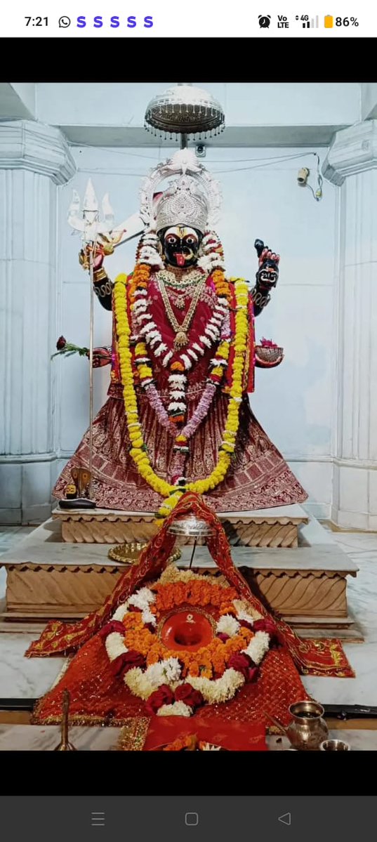 Modkihouse0423's tweet image. 