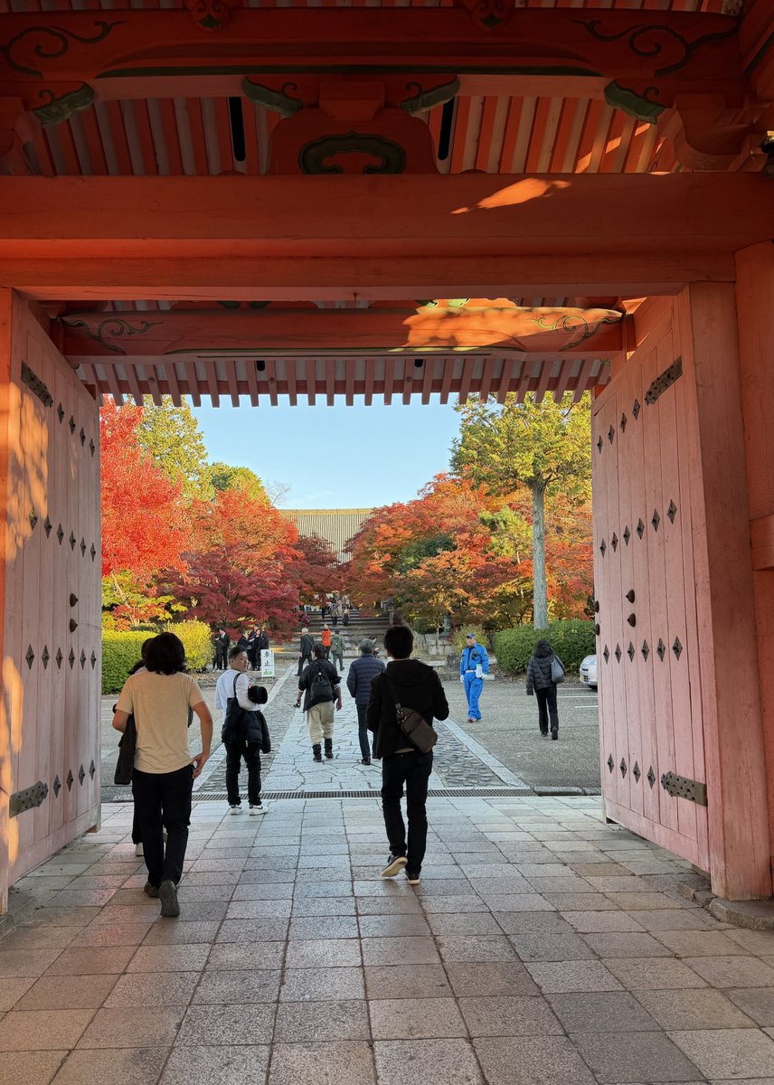 境内全体が深紅に染まる真如堂をご案内♪｜雅京都観光 <a href="/miyabi4949/">雅京都観光</a> note.com/miyabi4949/n/n…