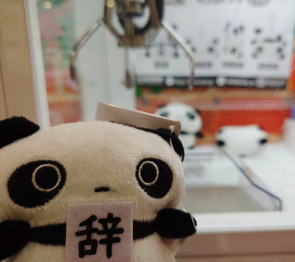 しろもふ (@yasashi_rotan) / Posts / X