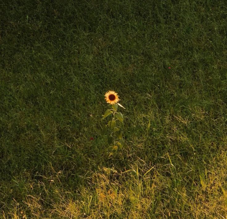 Lens of the world (@worldreamvibes) on Twitter photo 