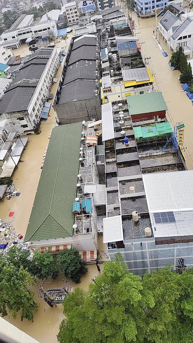 Blacki3ook's tweet image. ได้รับข้อมูลจากลูกบ้านด้วยกันในคอนโดช่วง 10.45 น.ซ้ายมือในรูปเป็นซอยธนาคารกรุงเทพ ขวามือคือธนาคารอาคารสงเคราะห์

พิกัด ซิตึ้โฮมคอนโด ถนนภาสว่าง
มีเรือกู้ภัยเริ่มเข้าพื้นที่ ใครต้องการความช่วยเหลือหาผ้าสีแดงผืนใหญ่ๆมาโบกไว้หน่อยนะ

ช่วยได้เต็มที่แค่นี้
#น้ำท่วมหาดใหญ่