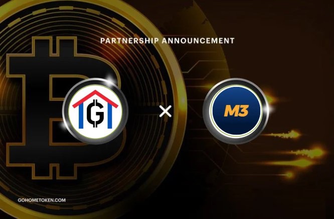 GOHOME TOKEN tweet media