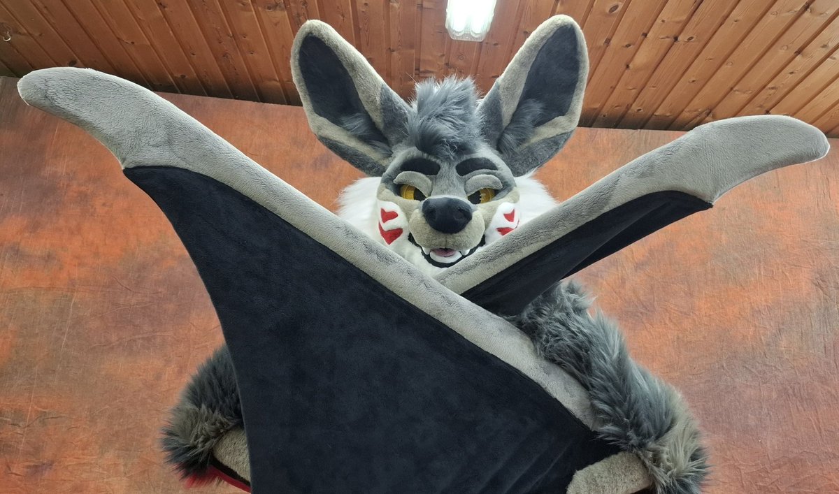 TheKareliaFursuits 🔜 EF tweet media