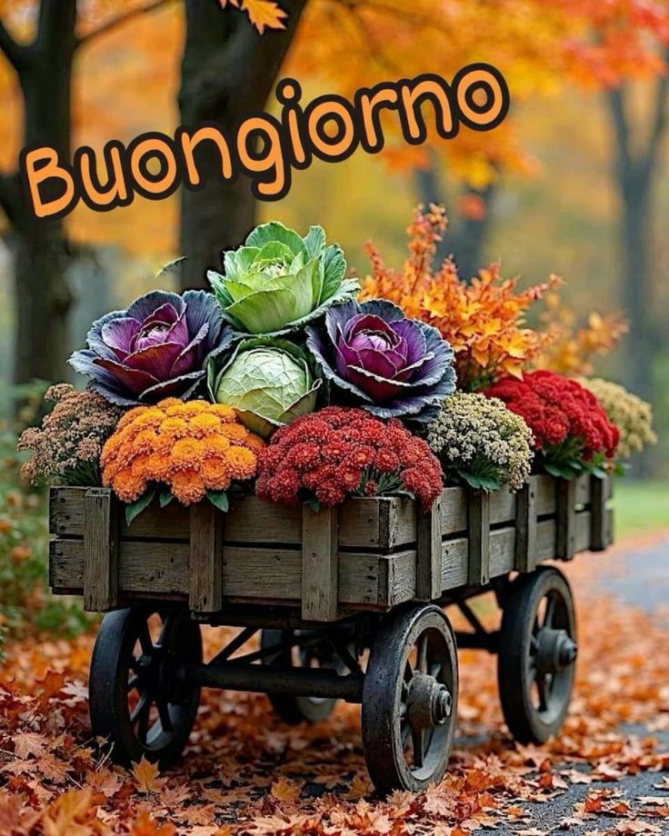 Marianna tweet media