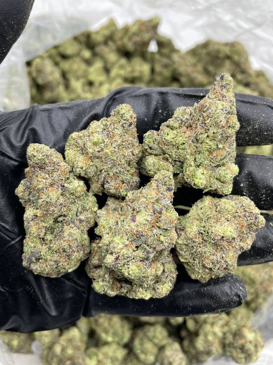 Wedding cake 
Indica Dominant Hybrid Strain Indica Dominant Hybrid
THC: 25% 
Relieve Symptoms 
Chronic Pain, Depression, Fibromyalgia, Insomnia, Loss of Appetite, Multiple Sclerosis, Nausea
P $700
With shipping and delivery