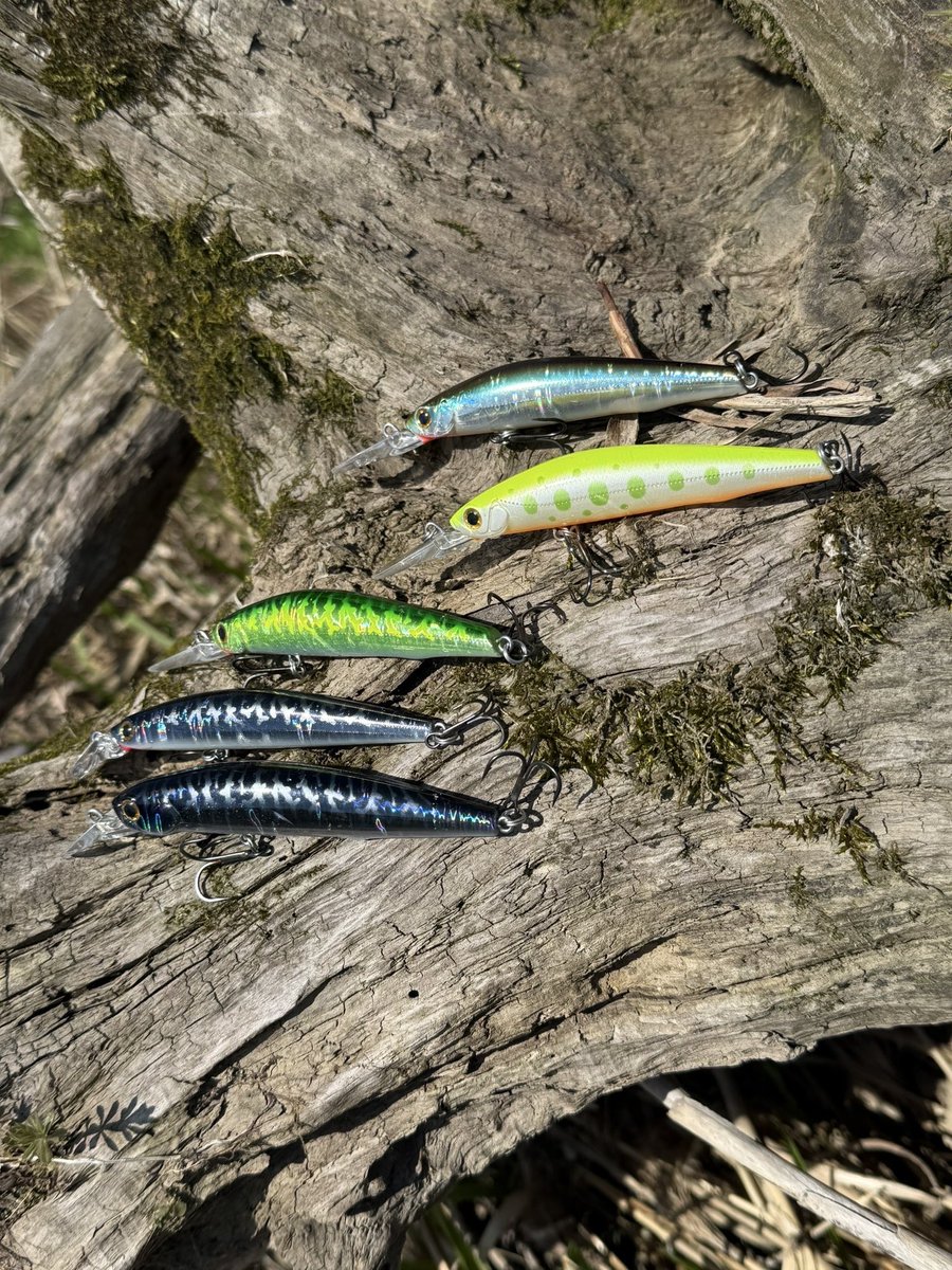 バスブリゲード　アルカンセ　最終本日掲載終了 BASSDAY.JAPAN (@BassdayJ) / Posts / X