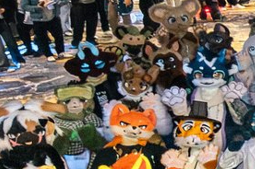 Syuki506's tweet image. #Fursuit #FursuitEveryday #FURSTCLASS
슈키도 있어요~🥰