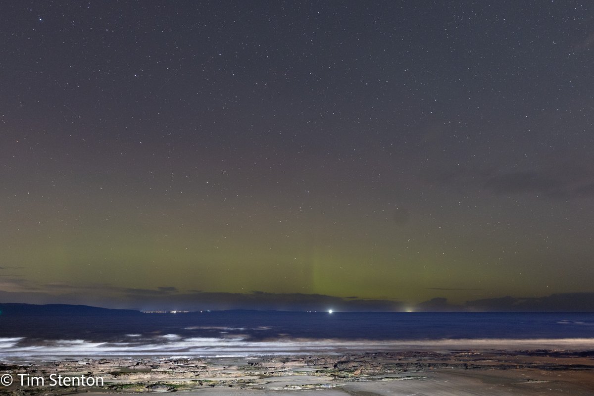 DolphinViewHillockhead Tim Stenton tweet media