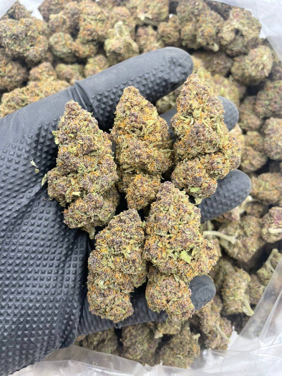 Tropicana Deps🌴 

 Sativa Dominant Hybrid
THC: 21%
Effects:
Calming, Creative, Focus, Giggly, Relaxing, Sociable
Relieve Symptoms: 
Anxiety, Depression, Nausea, Stress
Flavors:
Citrus, Fruity, Sour, Sweet
Aromas:
Citrus, Earthy, Floral, Orange, Sour, Spicy
P - $575