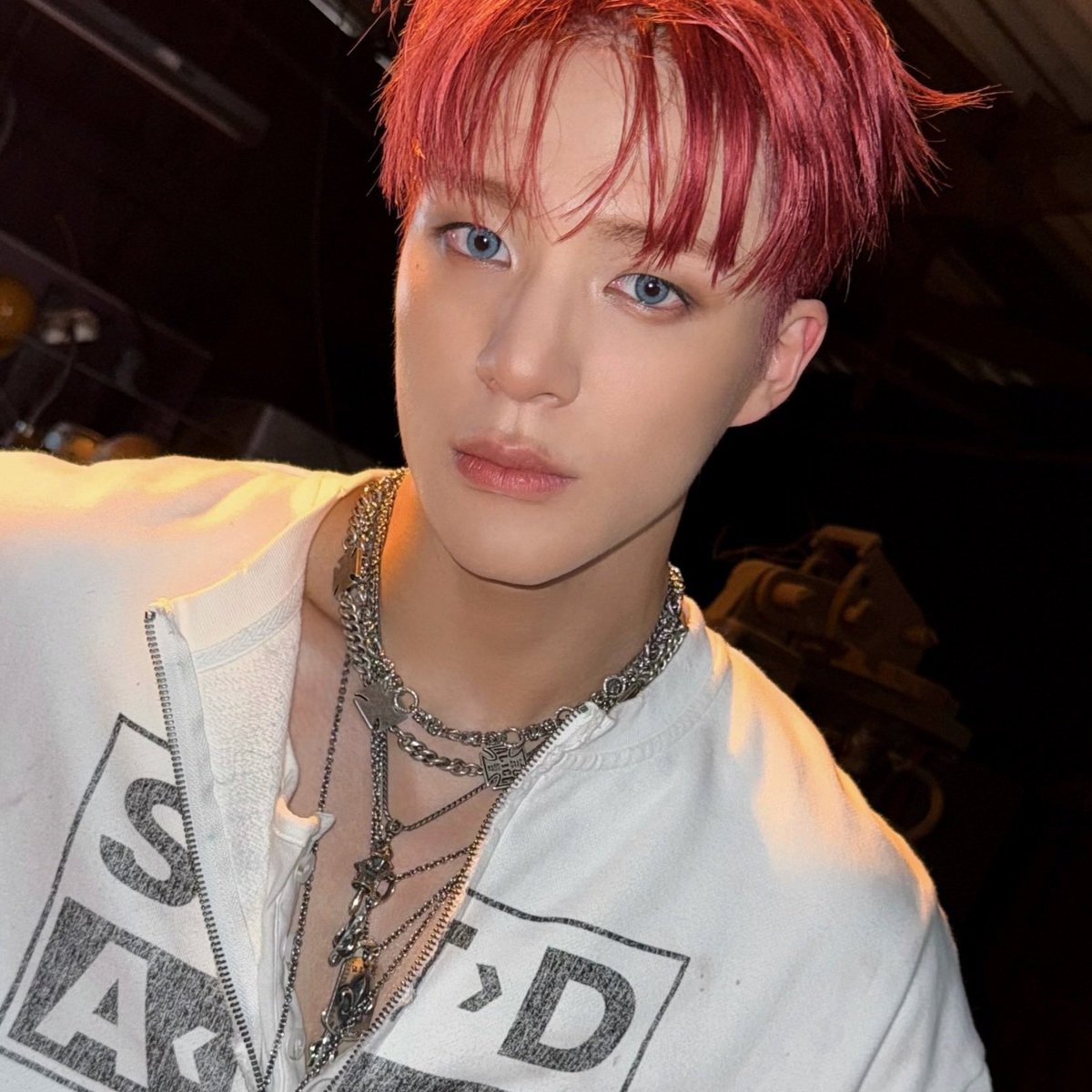 the813Degrees's tweet image. รู้ตัวไหมว่าเป็นแมวแร็กดอลล์สวย ๆ