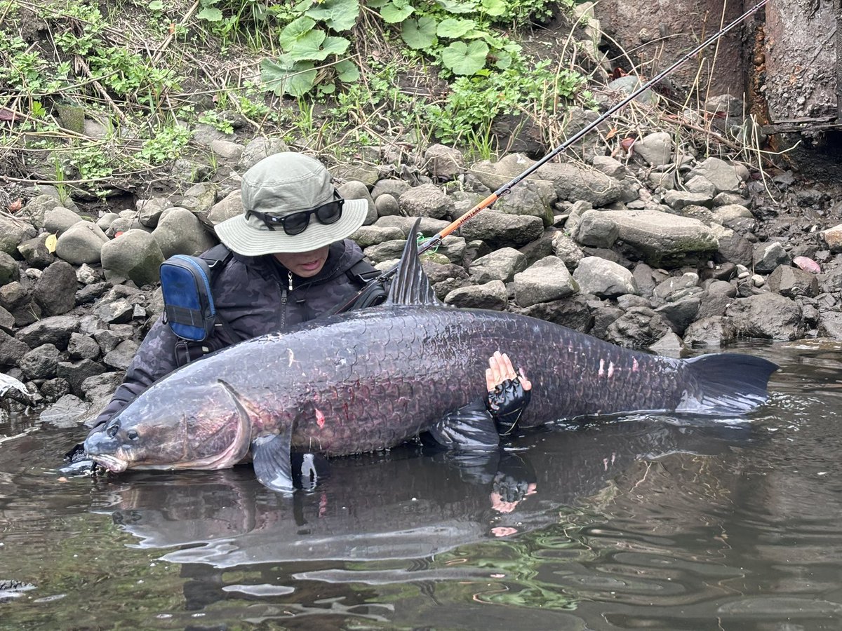 あおい@女子高生アングラー(17) (@a_o_i_0827) / Posts / X