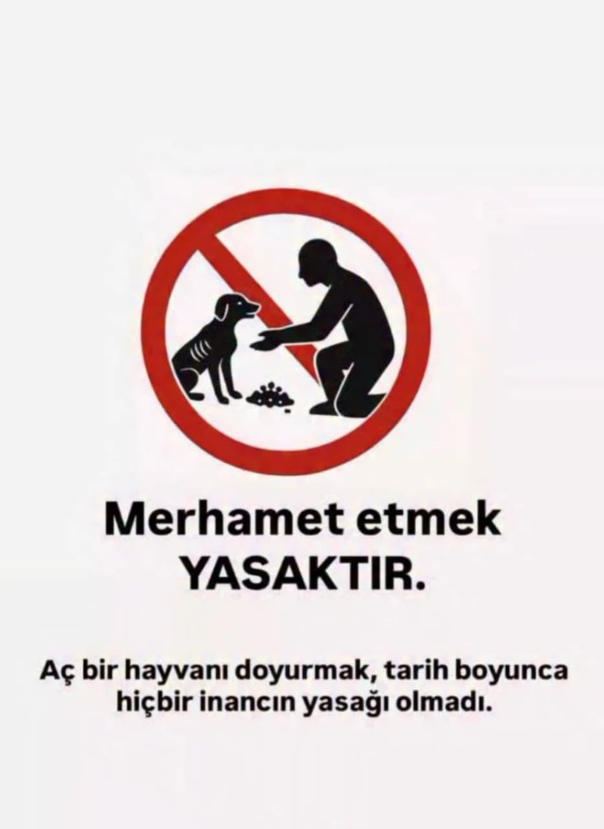 Ne istiyorsunuz gariban sokak hayvanlarından? Bu nasıl bir kin, nasıl bir öfke?
Her köpek saldırgan diye bir kaide mi var? Toplama sadece görüntüyü geçici olarak “temizler”, sorunu büyütür. Hiç mi bilimsel araştırmalara bakmıyorsunuz? 
İnternet trolleri istedi diye zulüm olmaz.