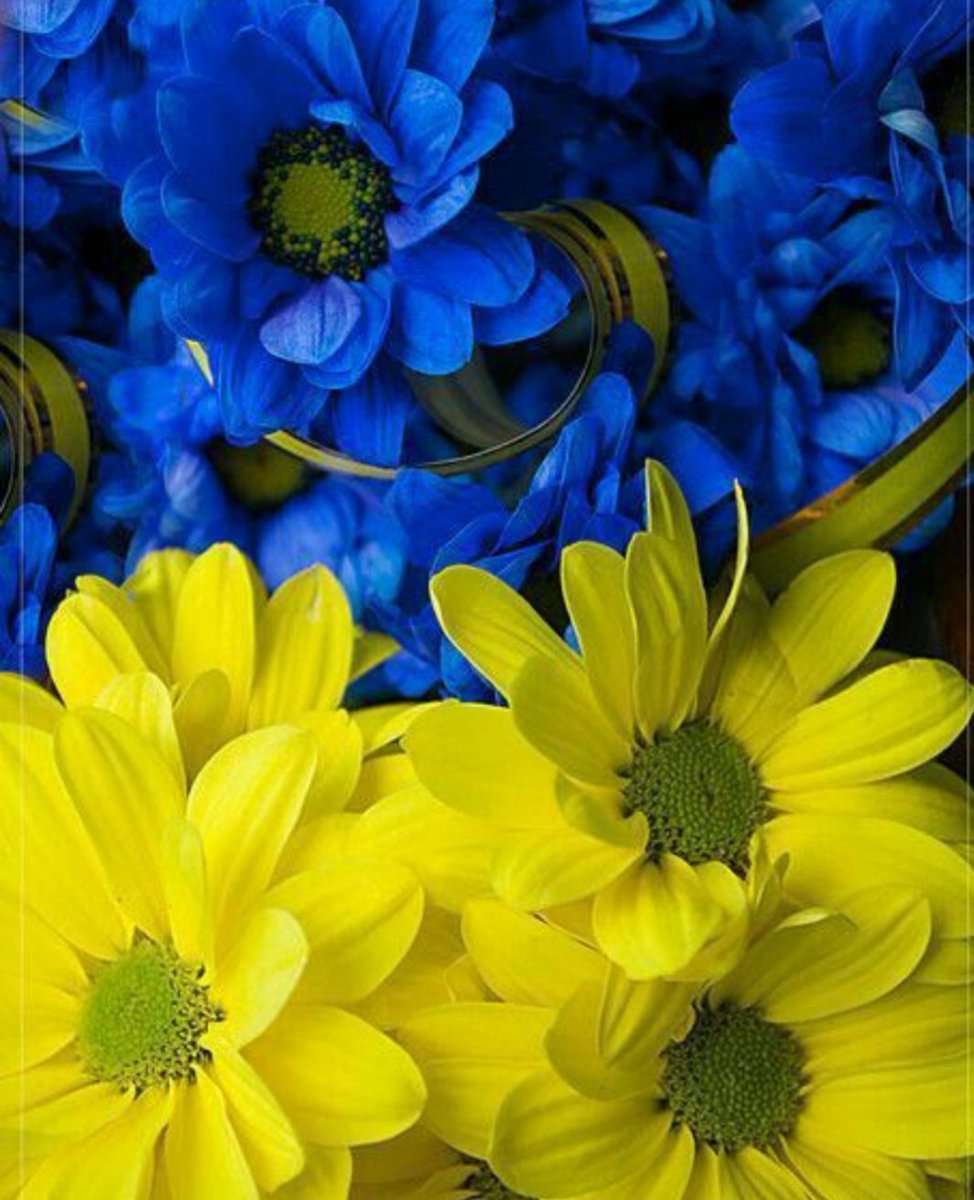 Günaydın büyük FENERBAHÇE ailesi 
       💙💛GünAydın💛💙 
Günümüz Sarı Laci Olsun