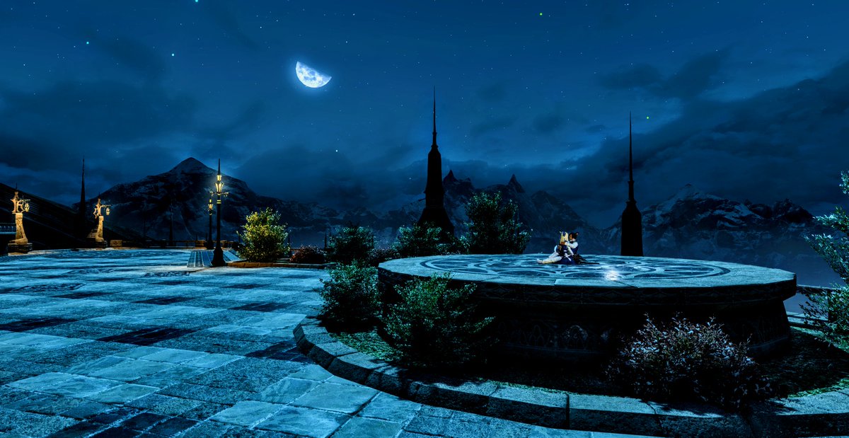 いい景色過ぎる！
イチャってるネコいるけども！