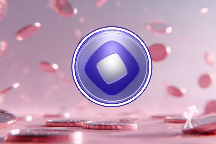 Jimbos Crypto Land tweet media