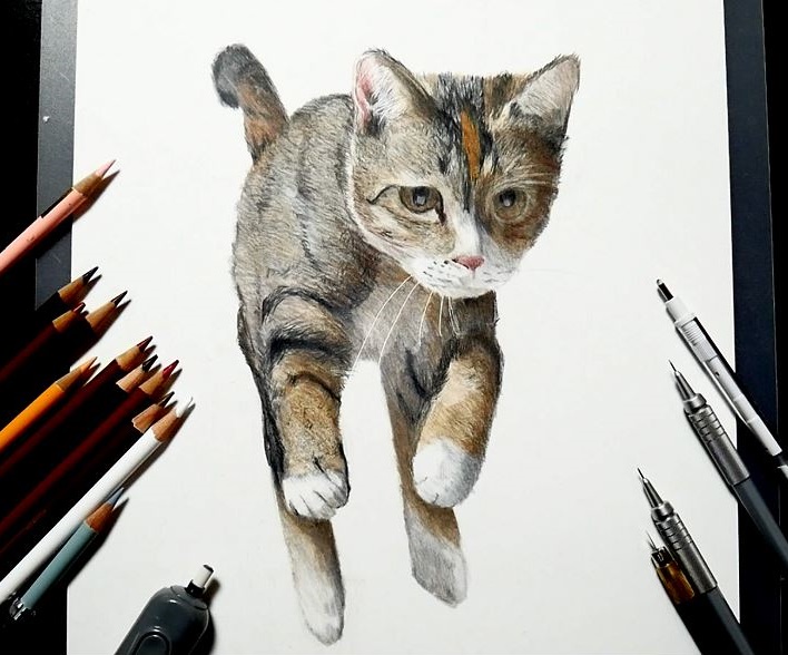 そんな感じの色鉛筆画 (@sonnakanjidesu) / Posts / X