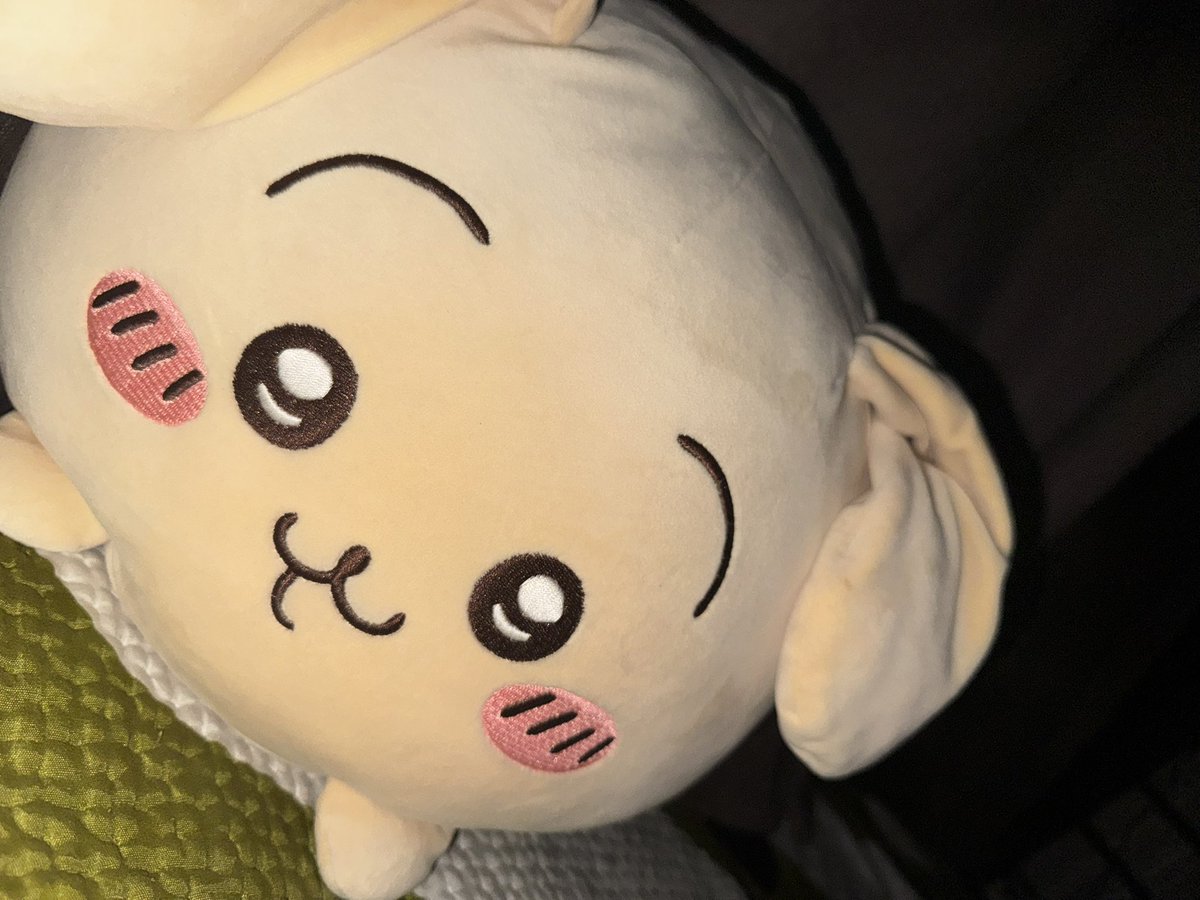 YizeBi's tweet image. 到！