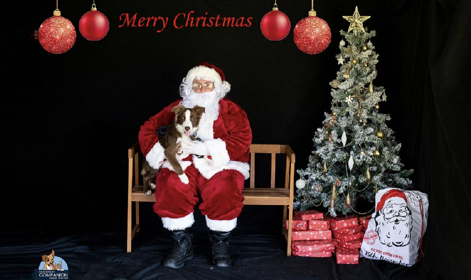 H2HNews1's tweet image. Join the festive #SantaPaws Photoshoot at Hawkesbury Companion Animal Shelter on 28 November. Capture holiday moments with your pets and purchase engraved pet tags. A fun-filled day for the whole family awaits!

Follow our website to read more (Link in bio)