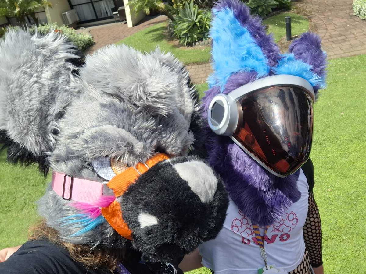 Another great year at <a href="/furconz/">FurcoNZ</a>! One of my favourite cons so far (only slightly biased) and I have not had that much fun in a long while.

Thanks everyone who took the time to chat with me and get photos, it was so nice to see you all again and I can't wait until the next one!