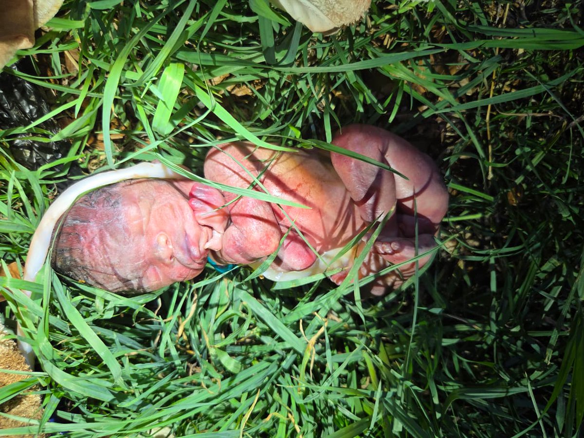 Too many babies in SA are abandoned unsafely because the system failed the mother. 
Baby Savers protect both mother &amp; child with a dignified, judgment-free alternative.
Every baby deserves life. Every mother deserves compassion. Please sign our petition c.org/GkSKsyxTHC