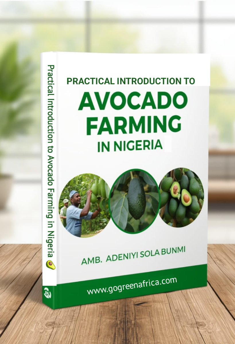 avocadosocietyn's tweet image. My people, avocado farming no be small business o! Na clean money if you sabi the value. No be only to pluck pear and chop am with bread. The real money dey for the things wey you fit turn am into like seasoning paste and others.

 #ValueAddition #HerbalTea #AvocadoValueChain