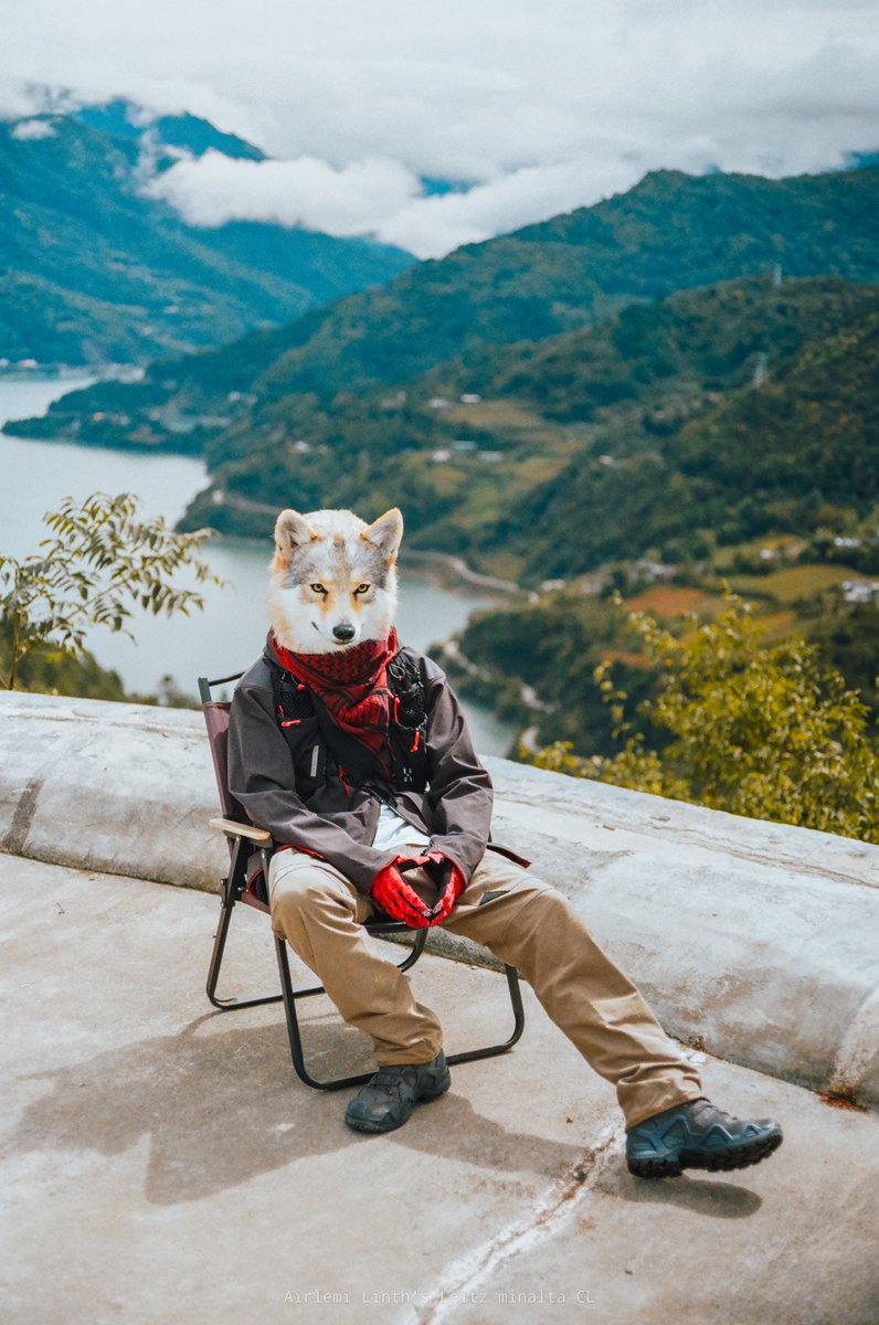 DOUGLAB_Ashen's tweet image. #FursuitEveryday 
#DOUGLAB 

📷：@airlemi