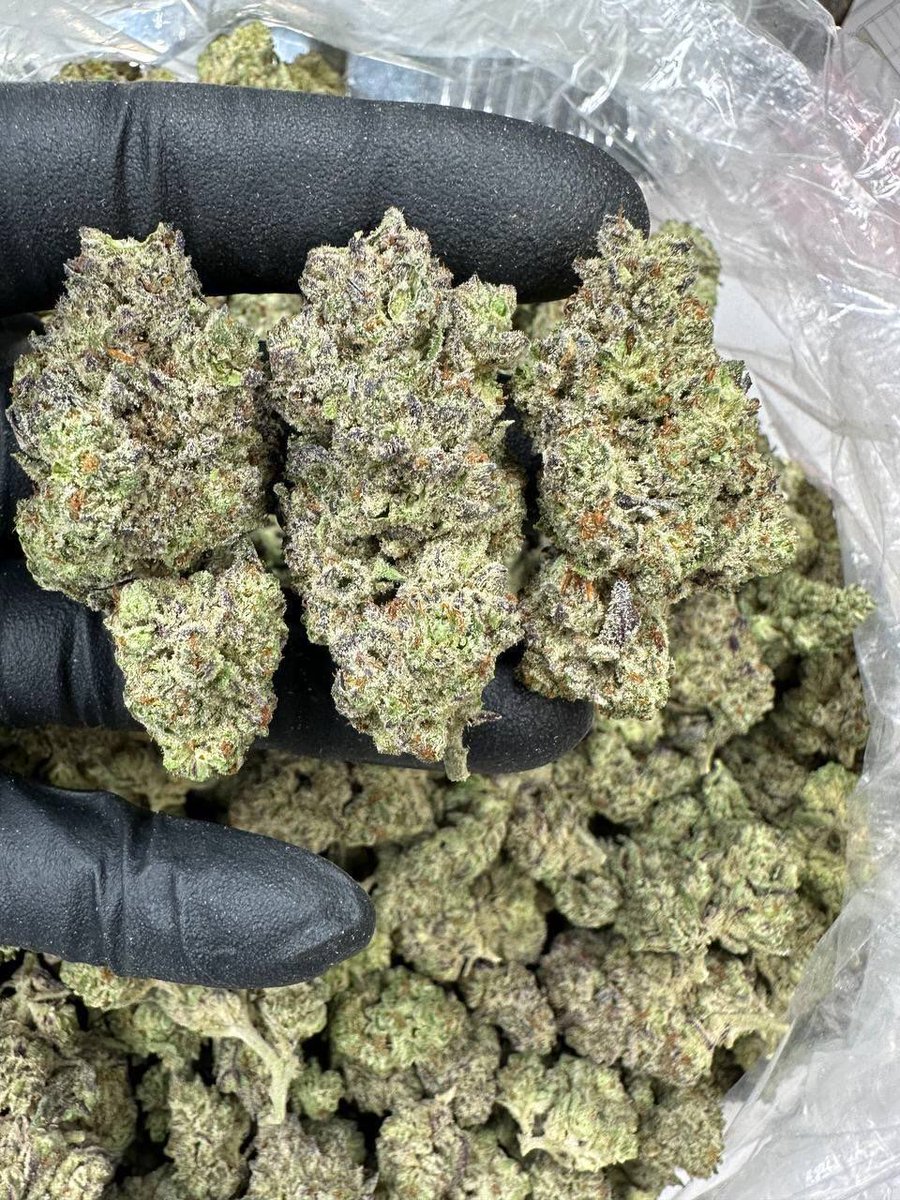 Original Glue
Light Assist
Very Fresh

14grams  $55