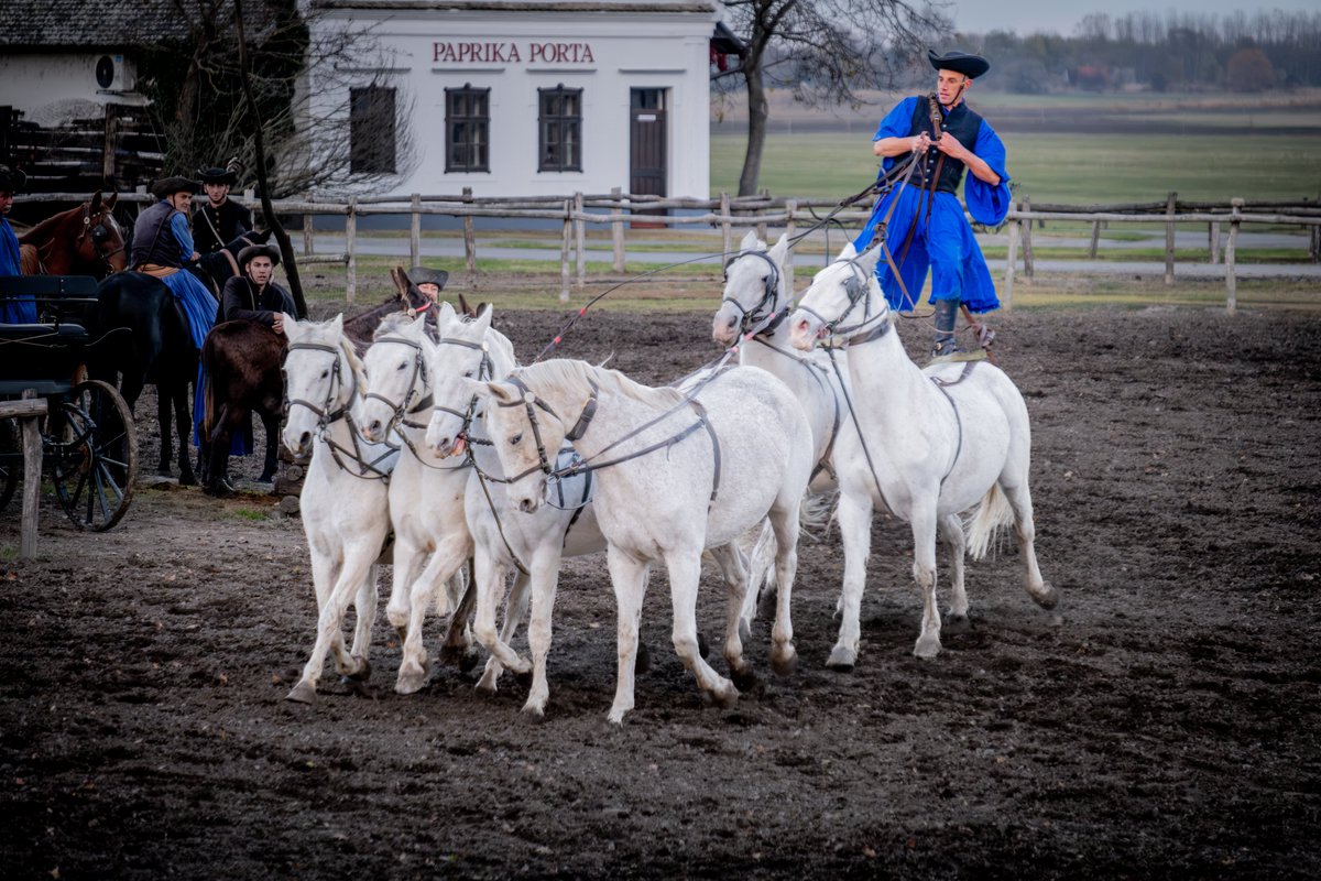 Cynical Publius tweet media