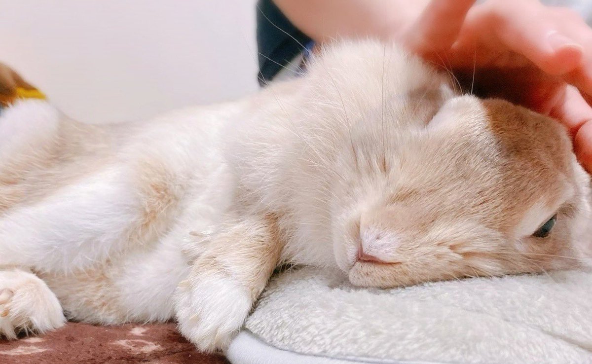 𝟲. (@mo_nu_666) / Posts / X