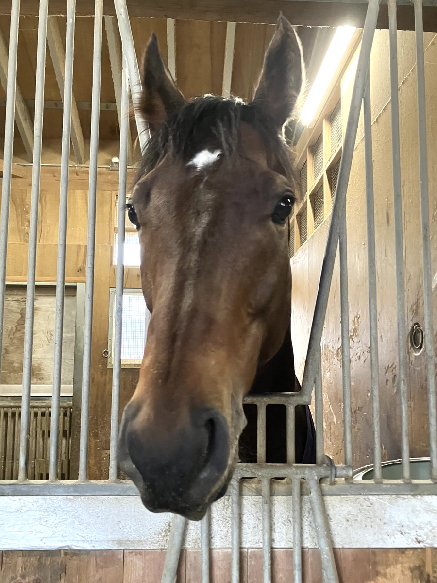 とも (@tomo_0322_) / Posts / X