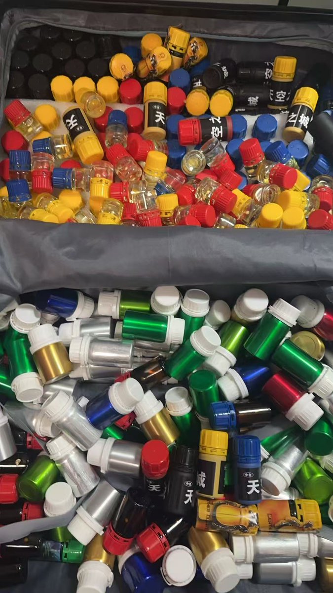 短毛的瑞(🐷)在成都 tweet media