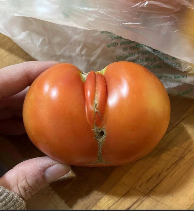 トマトです トマトです CF桃太郎J トマト ｜ 品種カタログ ｜ タキイの野菜